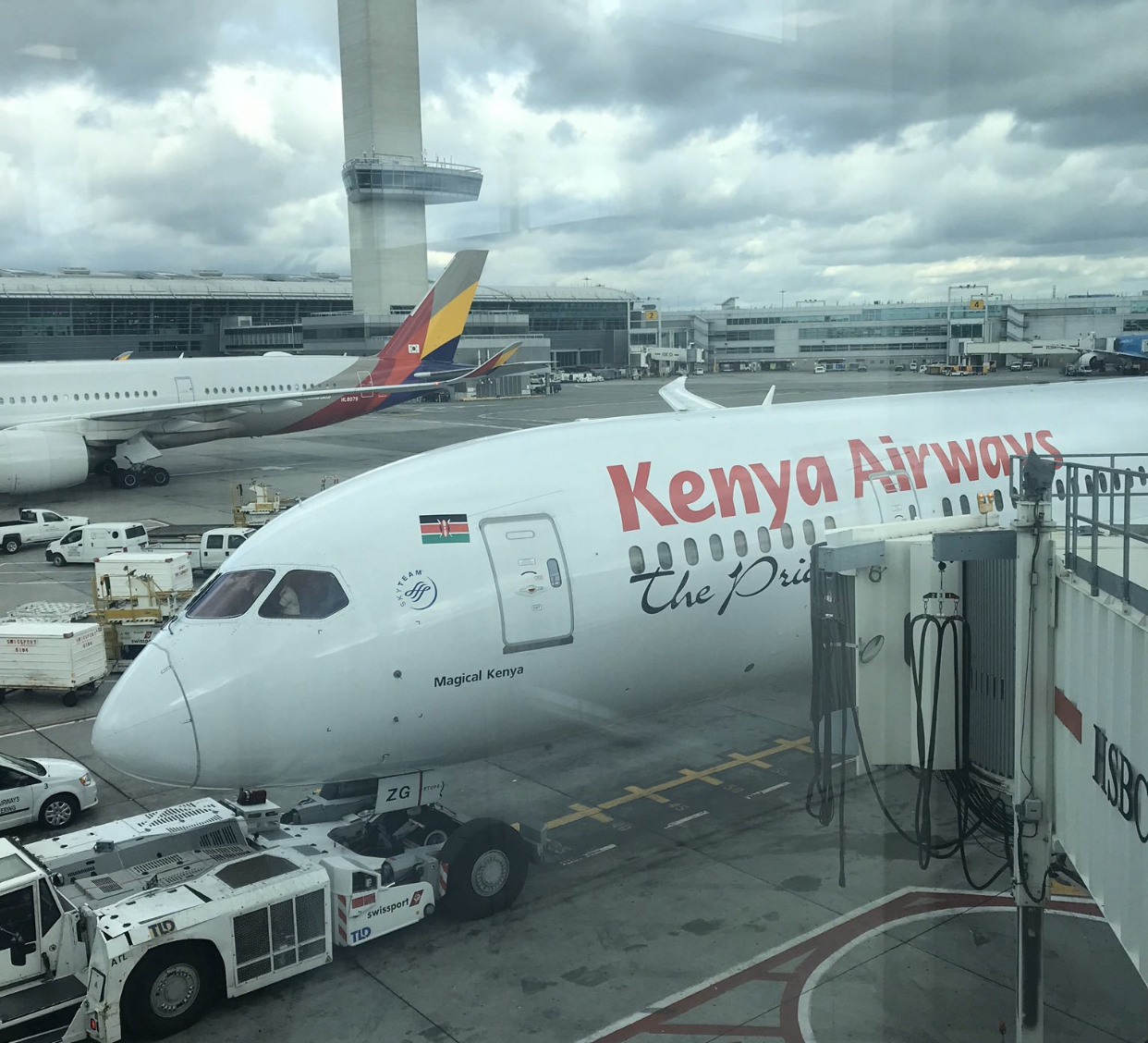 Security Threat: Why KQ's Handling Of The Stowaway Is Below