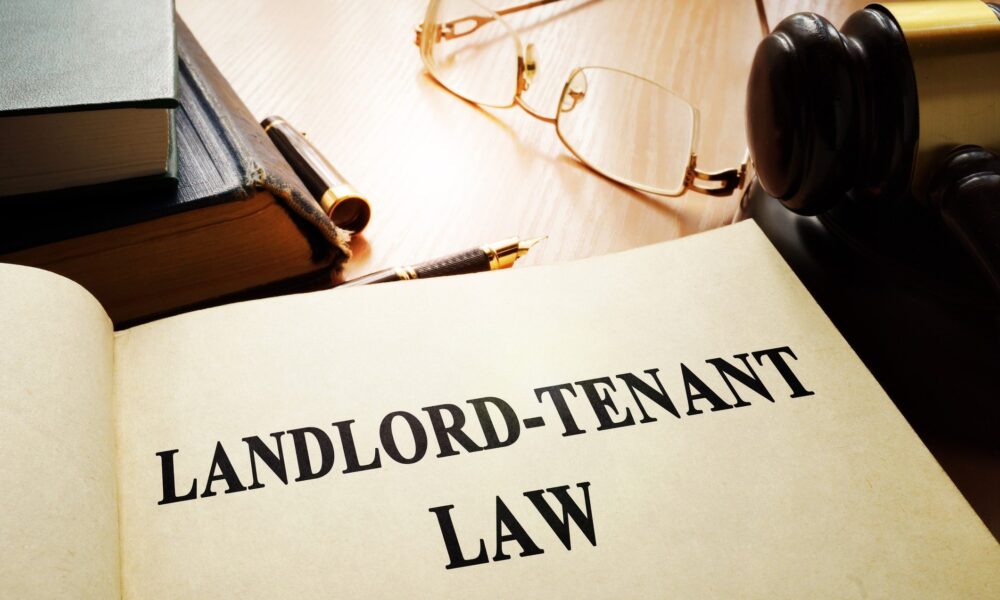 How the proposed Landlord and Tenant Bill will tame rogue Landlords