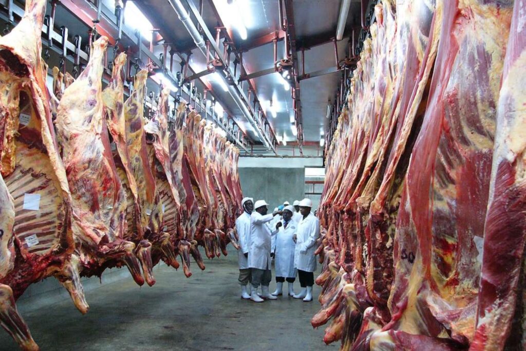 KDF fighting to halt planned privatization of Kenya Meat Commission ...