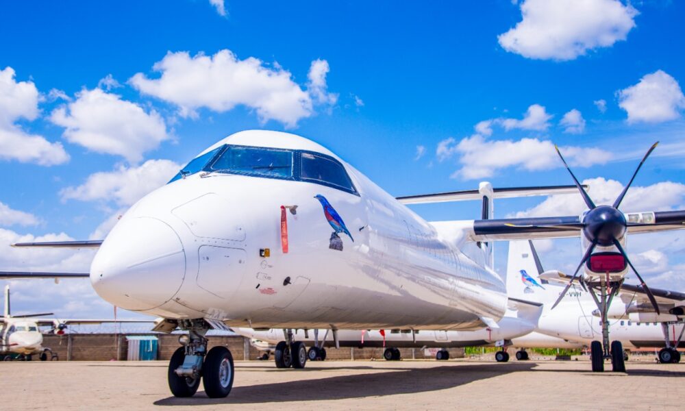 Bluebird Aviation Charters Flights For Stranded KQ Passengers