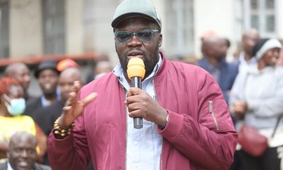 Robert Alai