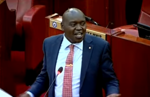 Nandi Senator Samson Cherargei speaking during debate session.