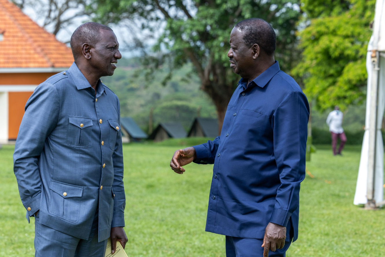 Ruto and Raila’s Hidden Hands Behind New IEBC Nominees Exposed