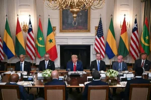 US President Donald Trump (C) speaks during a multilateral lunch with visiting African leaders at the White House. AFP