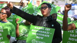South Africans have come to Nhlanhla Mkhwanazi's support following his explosive claims