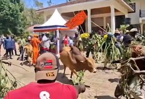 Siaya resident performing 'Tero Buru rite at the home of Raila Odinga. SCREENGRAP.