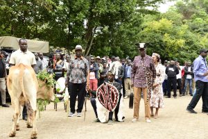 Raila Odinga Junior seated on a traditional stool during the installation ceremony at Opoda Farm, Bondo.