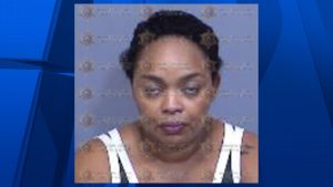 Christine Lewis mugshot.